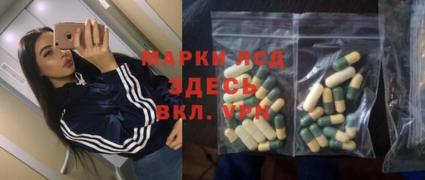 амф Кропоткин