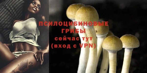 прущие грибы Куйбышев