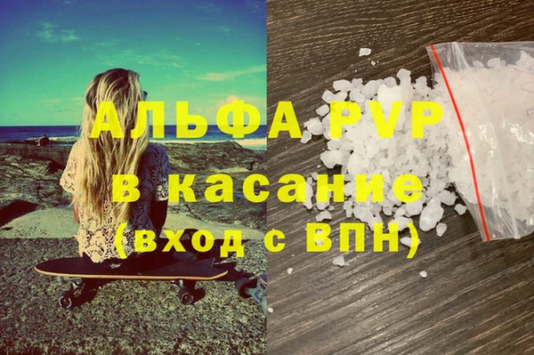 прущие грибы Куйбышев