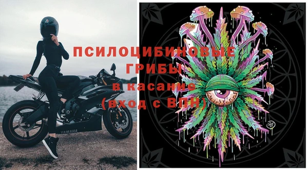 прущие грибы Краснослободск