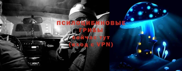 прущие грибы Куйбышев