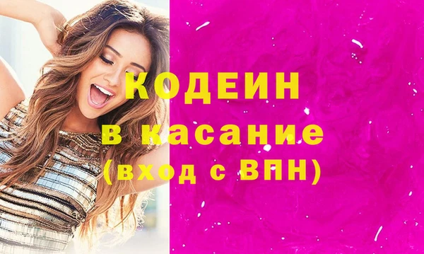прущие грибы Краснослободск