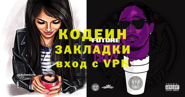 хмурый Корсаков