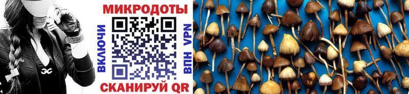 Галлюциногенные грибы ЛСД Надым