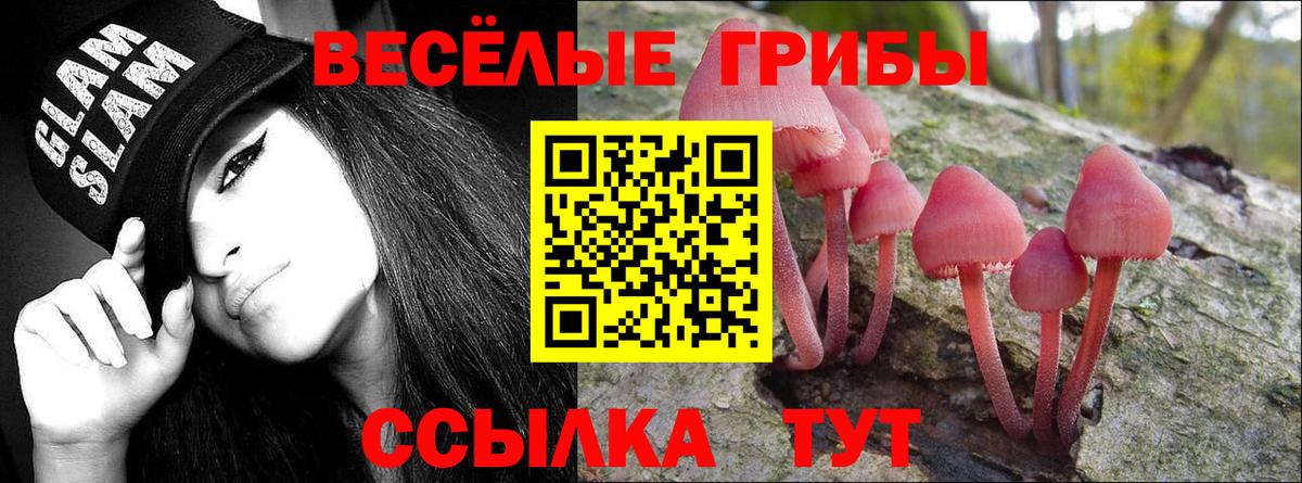 Псилоцибиновые грибы прущие грибы  Надым 