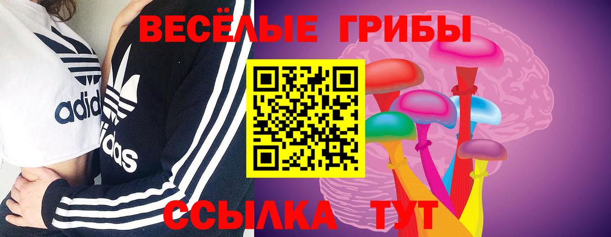 Псилоцибиновые грибы Psilocybine cubensis  Вход с VPN  Надым  Галлюциногенные грибы мухоморы 